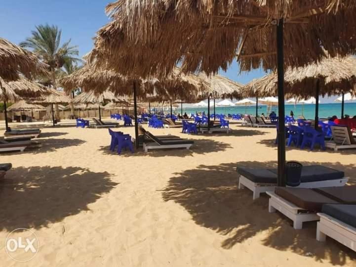 شاليه فرش فندقي بقرية بالميرا بيتش العين السخنه للعائلات ไอน์ ซกนา ภายนอก รูปภาพ